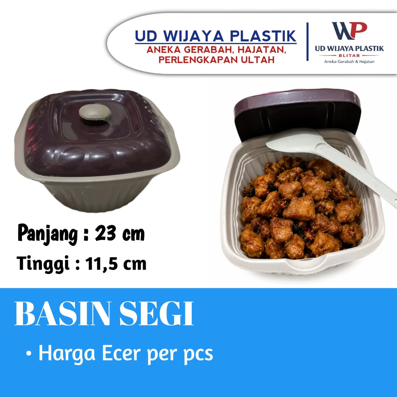 BASIN SEGI B0006